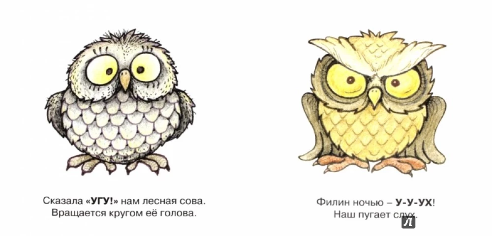 Manas pirmās vārdi. Mežu un lauku putni