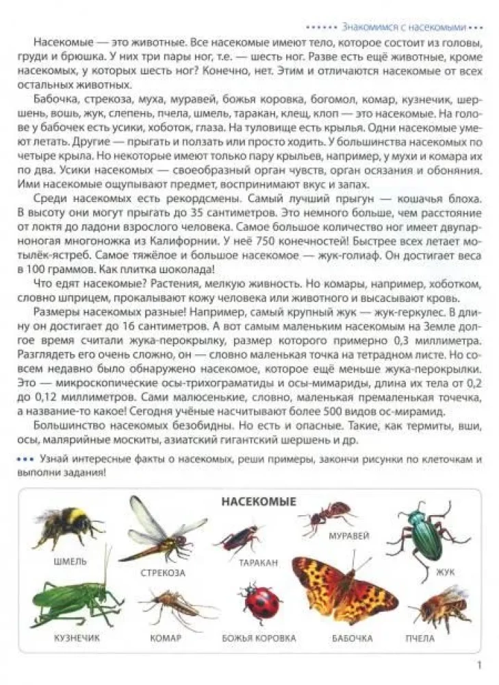 Soļojam pa lauciņiem. Kukaiņi. Grafiskie diktāti bērniem 6—7 gadu vecumā
