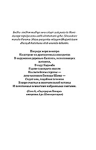 Runājošais ar lietu. Brīnumi un dziedināšanas stāsti Om Svami