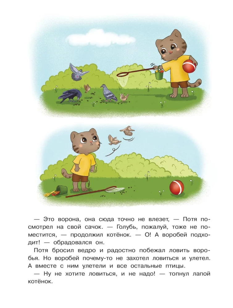 Kaķēns Potja mācas spēlēt un draudzēties