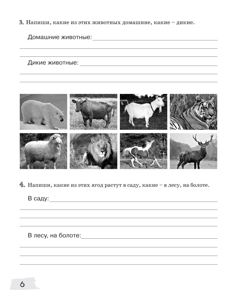Iztokas-2. Darba burtnīca. 11-13 gadi