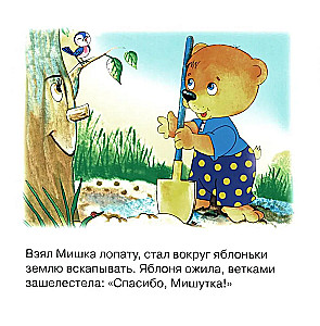 Grāmatu komplekts. Laipnības stundas
