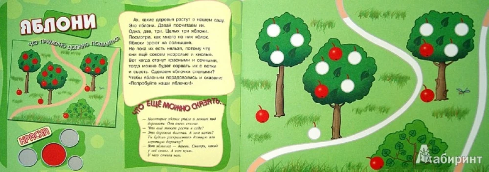 Zīmēšanas albumi ar pirkstu krāsām (komplekts no 5 grāmatām)