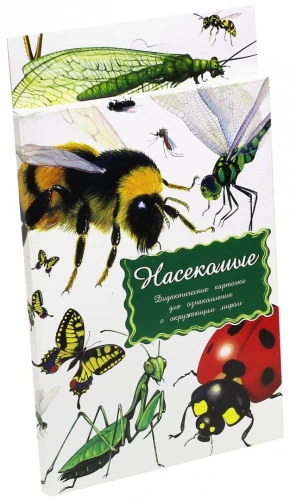 Didaktiskās kartītes - Kukaiņi