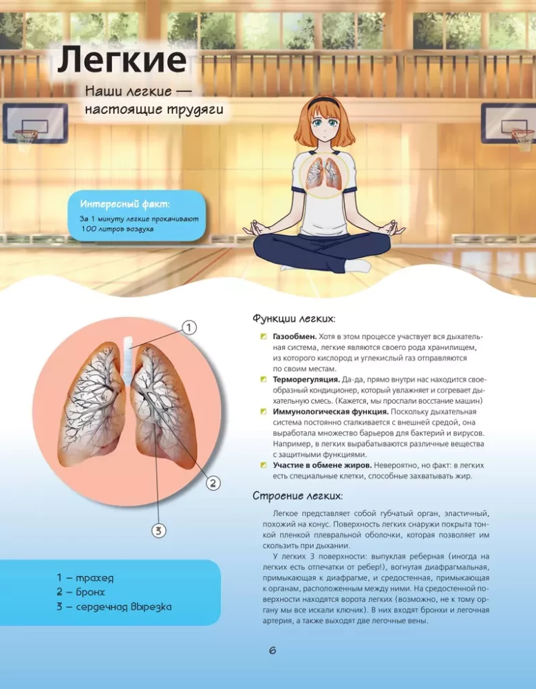 Anatomijas atlants manga stilā