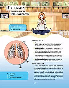Anatomijas atlants manga stilā