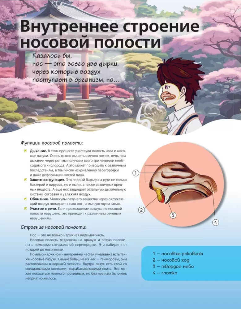 Anatomijas atlants manga stilā