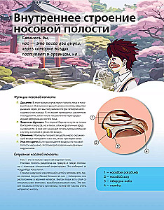 Anatomijas atlants manga stilā