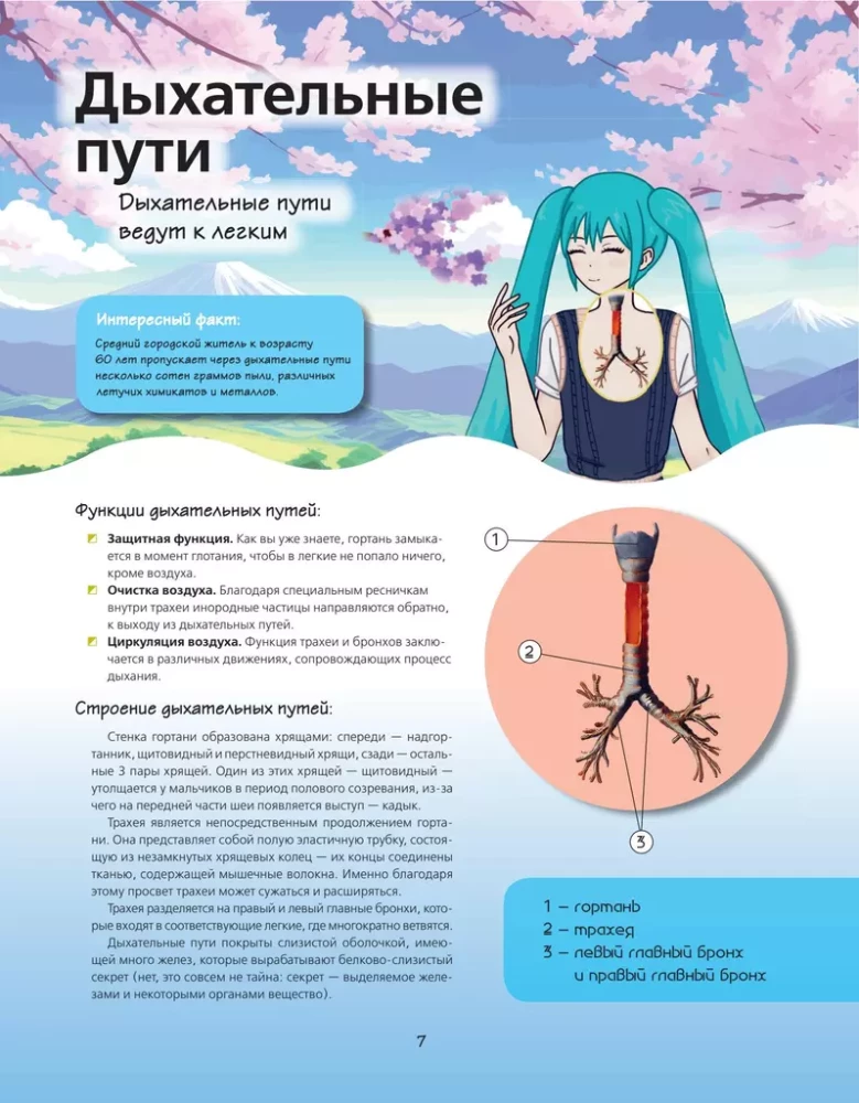 Anatomijas atlants manga stilā