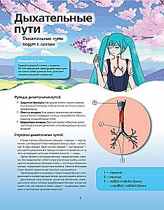 Anatomijas atlants manga stilā