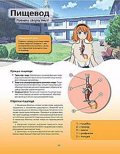 Anatomijas atlants manga stilā