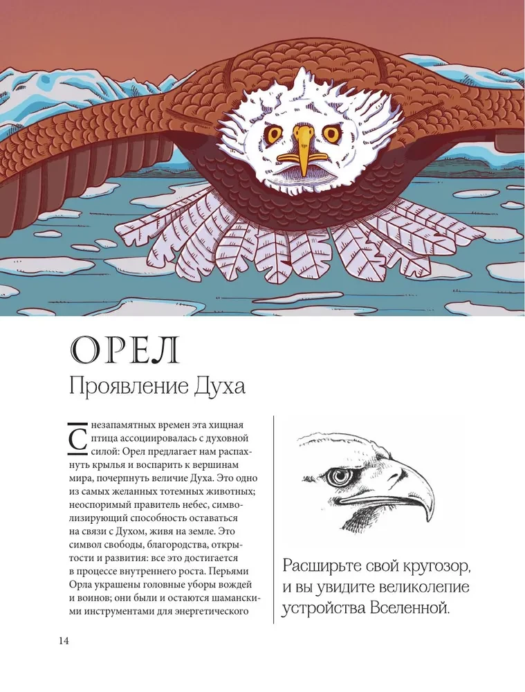 Dzīvnieki-dziednieki. Vilki, lapsas, pūces un citi meža dzīvnieki-arhetipi, kas palīdzēs saprast sevi un dziedinās jūsu dvēseli