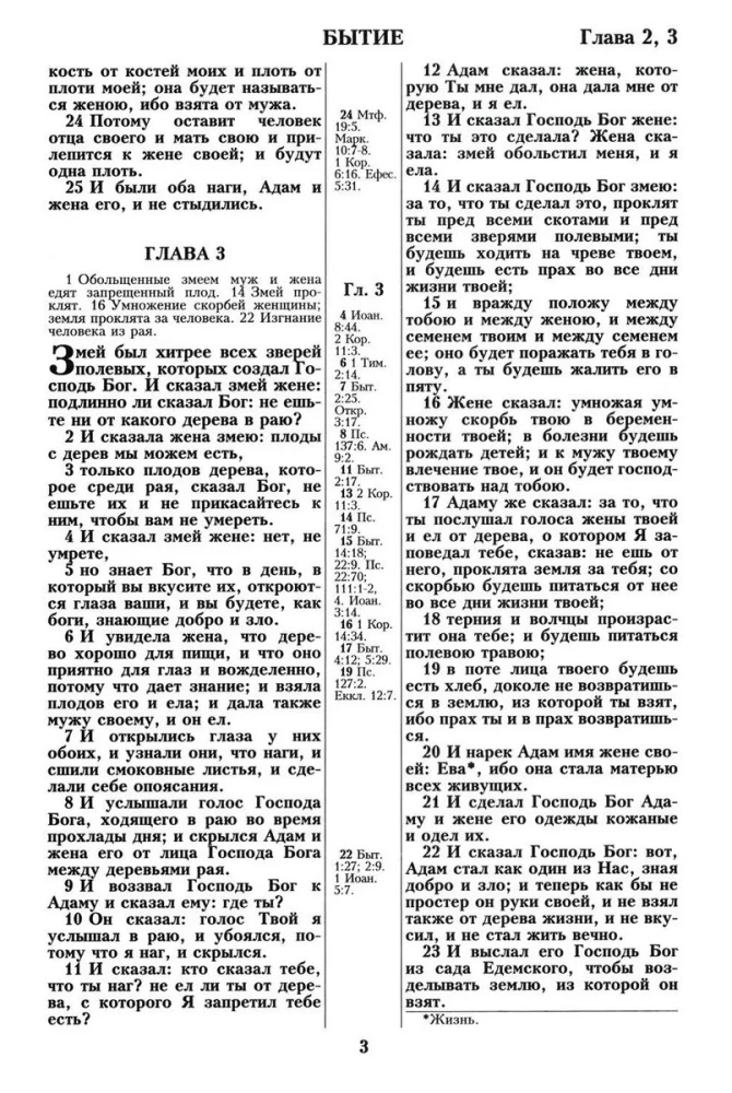 Библия. Синодальный перевод 1876 года