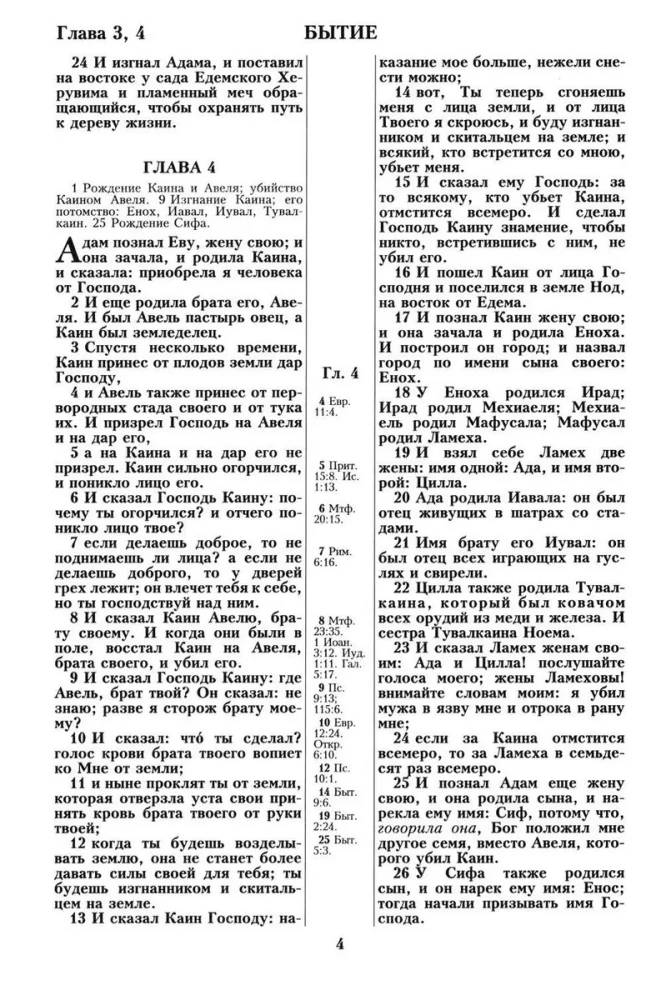 Библия. Синодальный перевод 1876 года