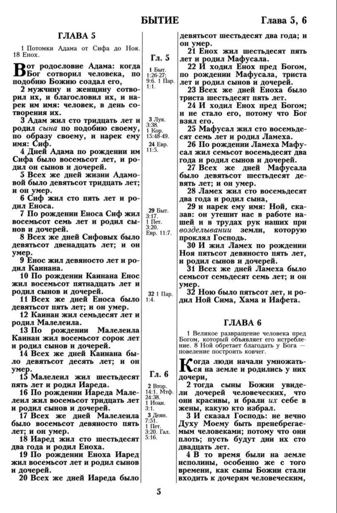 Библия. Синодальный перевод 1876 года