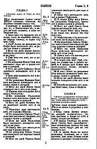 Библия. Синодальный перевод 1876 года