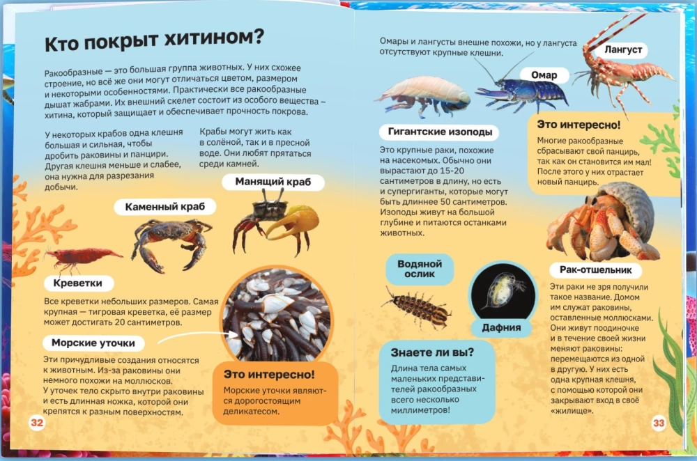 Encyclopēdija cietajā vāciņā. Zemūdens pasaule