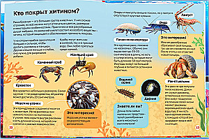 Encyclopēdija cietajā vāciņā. Zemūdens pasaule