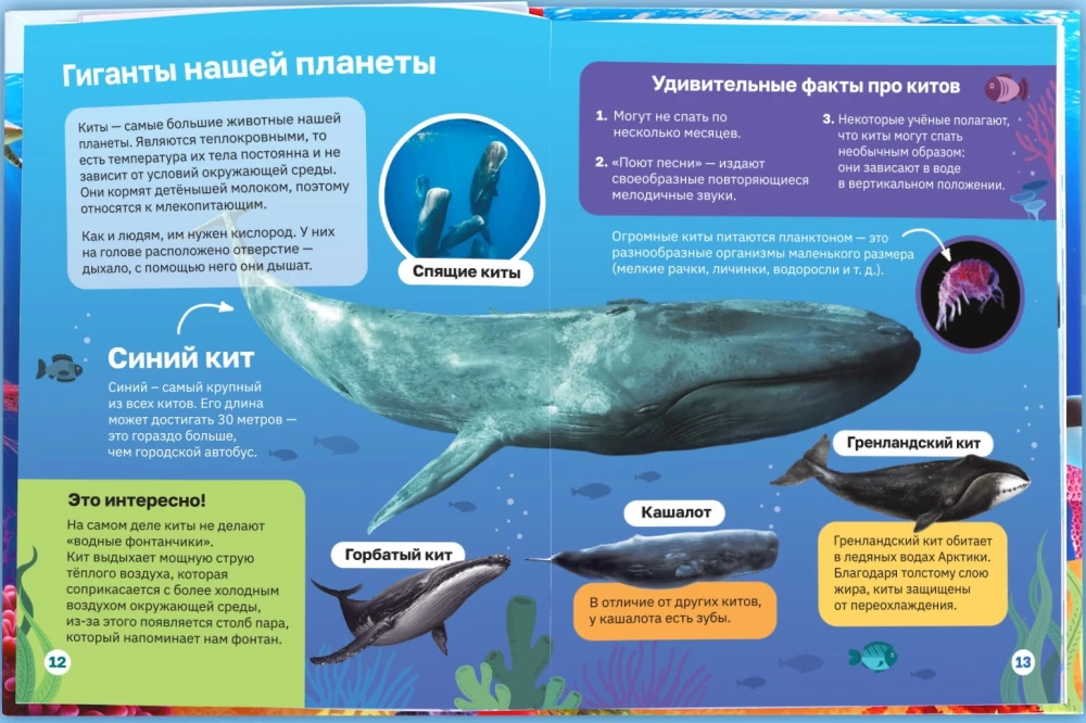 Encyclopēdija cietajā vāciņā. Zemūdens pasaule