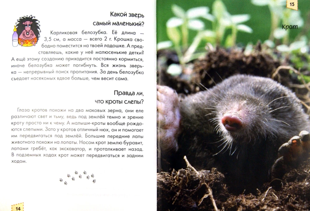 Encyclopēdija ziņkārīgajiem. Mamas un mazuļi