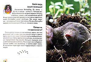 Encyclopēdija ziņkārīgajiem. Mamas un mazuļi