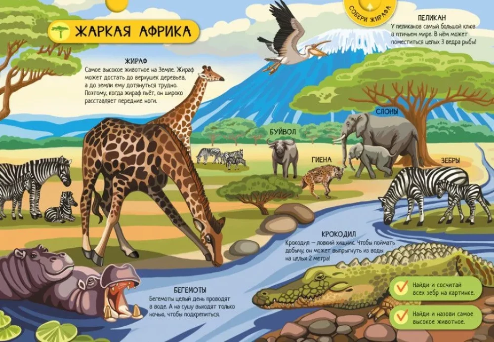 Dzīvnieki pasaulē