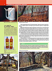 Kaukāzs. Priekškalne