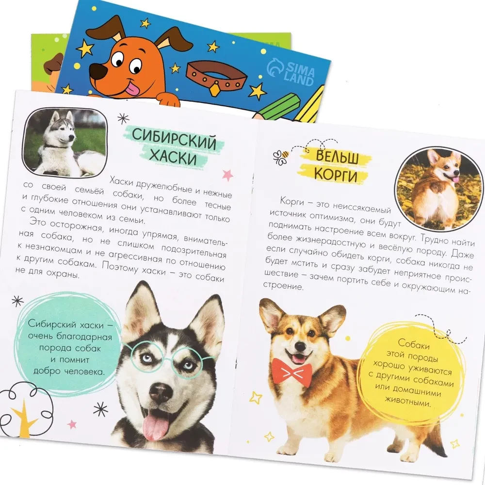 Labākais draugs. Komplekts 3 vienā (3 grāmatas, puzle, rotaļlieta)