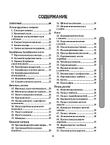 1000 рецептов на каждый день. Большая кулинарная книга