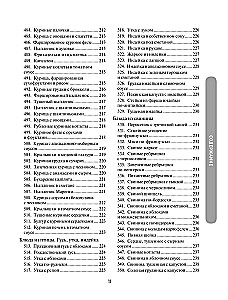 1000 рецептов на каждый день. Большая кулинарная книга