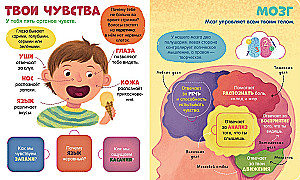 Cilvēka ķermenis