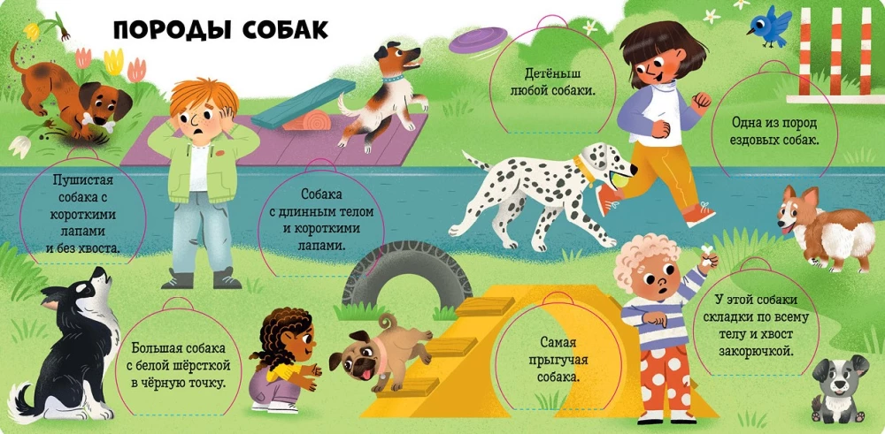 Mīļākie dzīvnieki. Enciklopēdija ar logiem