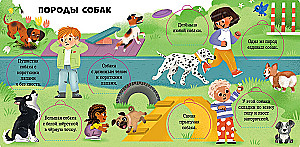 Mīļākie dzīvnieki. Enciklopēdija ar logiem
