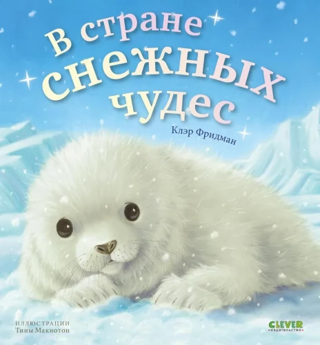 Sniega brīnumu zemē