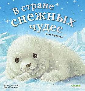 В стране снежных чудес