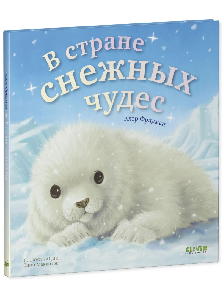 В стране снежных чудес