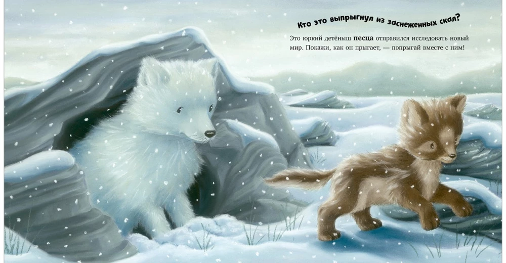 В стране снежных чудес