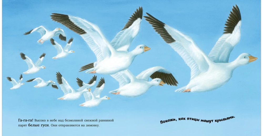 В стране снежных чудес
