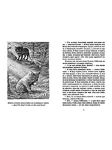 Gobbolino - raganas kaķis