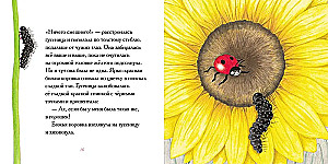 Kāpostu tārps, kurš visiem apskauda