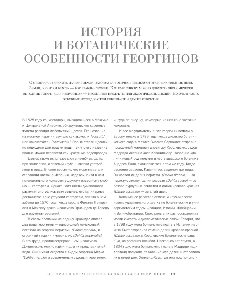 Георгины. Необыкновенные цветы для дома и сада
