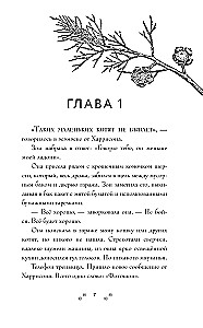 Самая большая кошка на свете