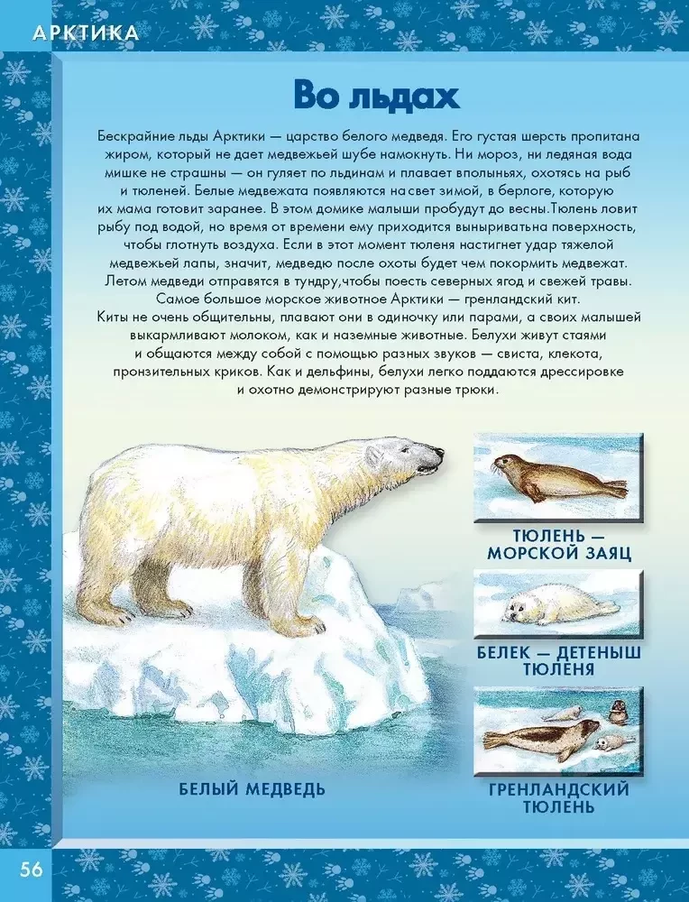 Dzīvnieki pasaulē. Kas dzīvo mūsu planētā