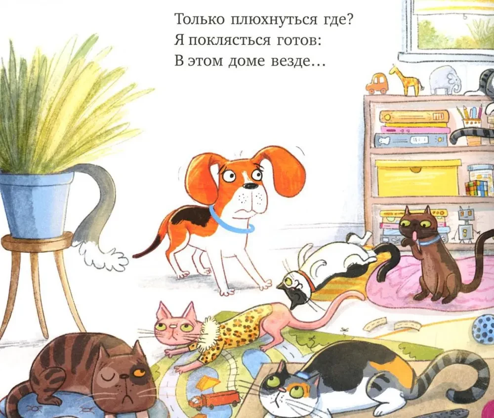 Pārāk daudz kaķu