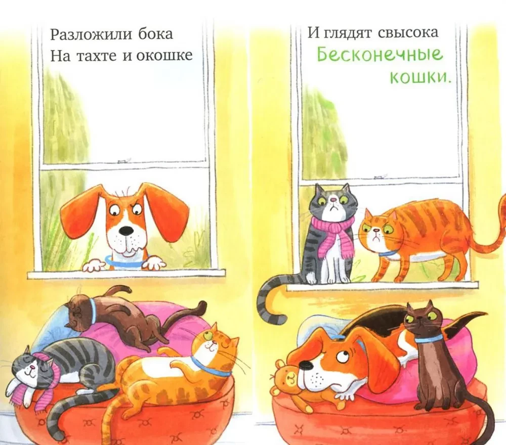 Pārāk daudz kaķu