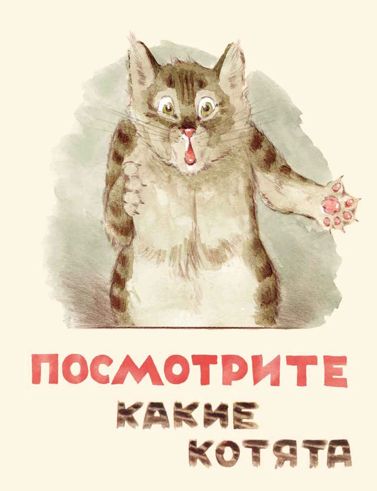 Skatieties, kādi kaķēni
