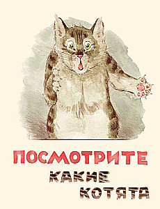 Skatieties, kādi kaķēni