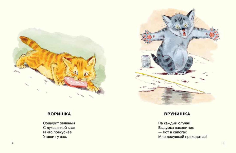 Skatieties, kādi kaķēni