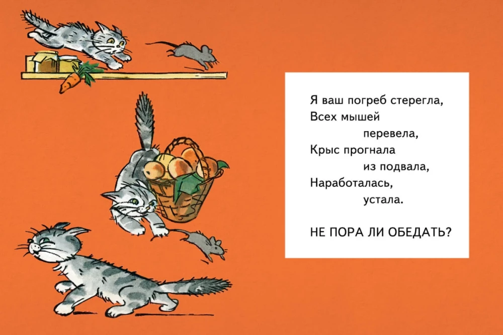 Maša pusdieno