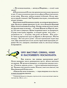 Страна новогодних игрушек